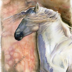 Southern Wind