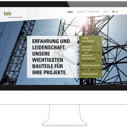 TSN Webseite