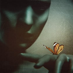 PSW – Another day inside my world