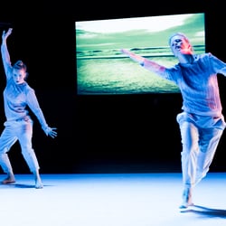 Performing, Moving, Imaging Landscapes