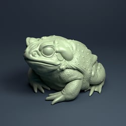 Colorado River Toad