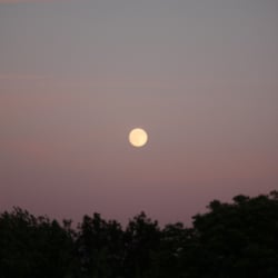 Moon – Jun. 2014 © by Dina.T