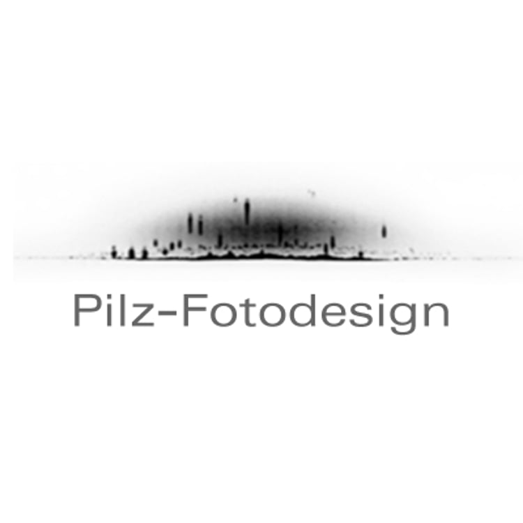 Gerd Pilz