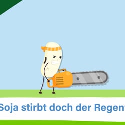ProVeg – Soja