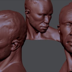 digital Sculpts