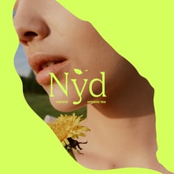 nyd site 2