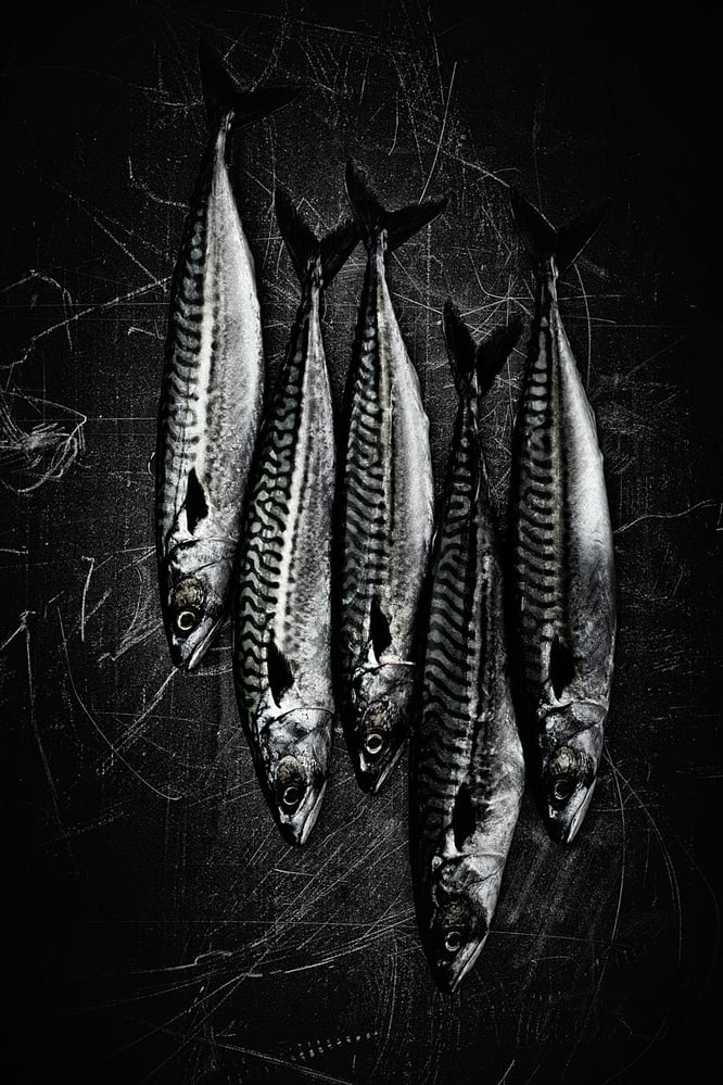 ©2020 Andy Brunner