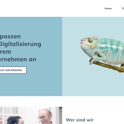 Webdesign