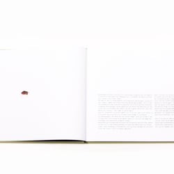 Buch Einleitung