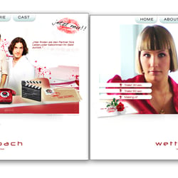 zinario massmann webdesign wasabi wettenbach series flash microsite