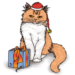 Katzen