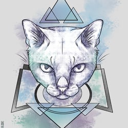 Mystic Cat – Shop Design – DemonDogs