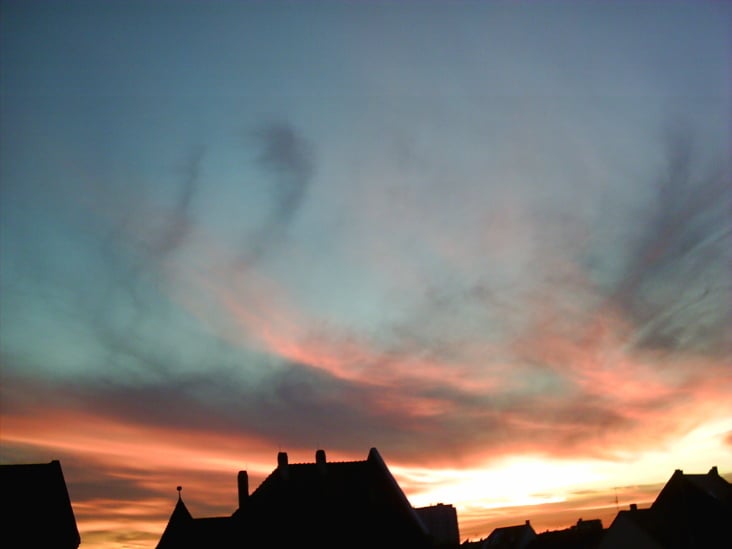 Bilder 137