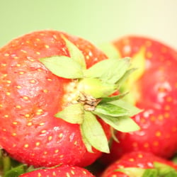 Food Fotografie 2012