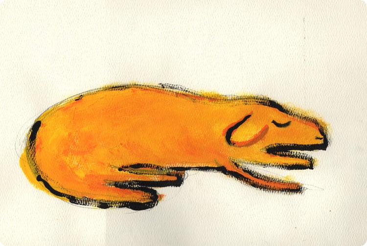 Hund