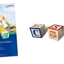 • Titelgestaltung : „Corporate Social Responsability“, B.A.U.M.