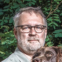 Wachtelhund Portrait