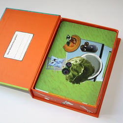 Wenn man den Deckel aufschlägt, hat man eine Box mit Spielkarten vor sich.