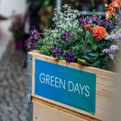 GreenDays-Mood-6