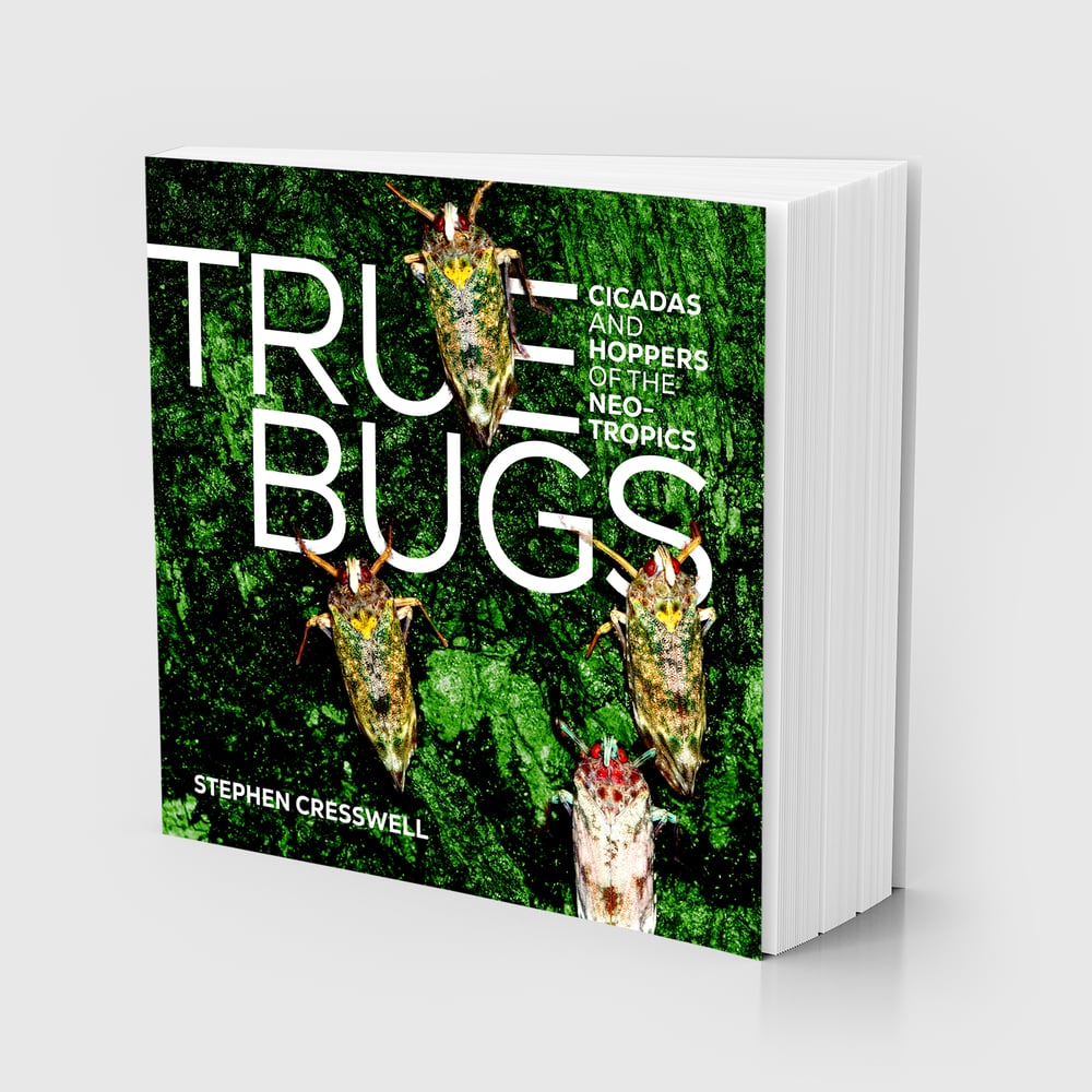 Book Covers