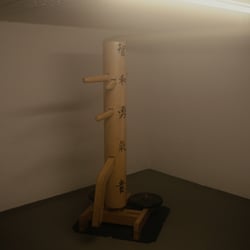 Holzpuppe – Wooden Dummy – Mystischer Keller – Kung Fu Training