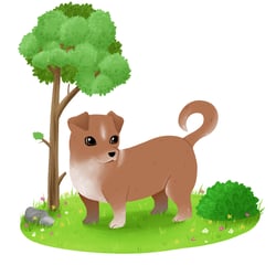 kleiner Hund