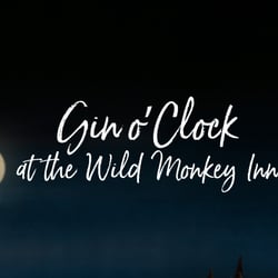 Welcome to the wild monkey inn