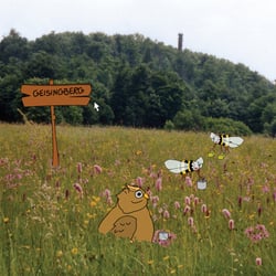 Bubo Bubo – PC Naturlernspiel für Kinder – Grüne Liga Osterzgebirge