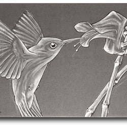 Vogel & Blume