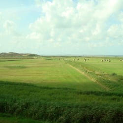 Landschaft