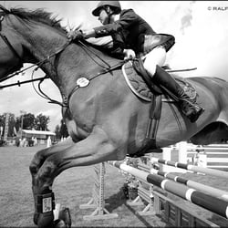 quite close by RaMiBru