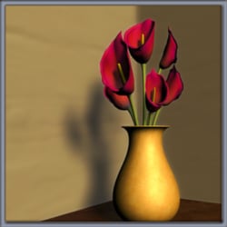 Calla Photograph