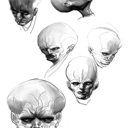 heads