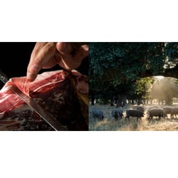 Juan Serrano Corbella Gastronomy Portfolio