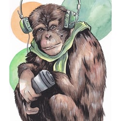 funkymonkey
