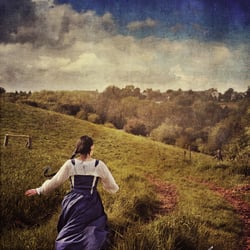 Fotomanipulation: Das Feld