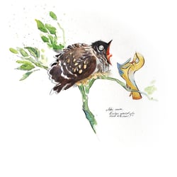 Illustration: Kuckuck Stil 1. Aquarell auf Papier