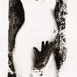 Fine Art Nudes