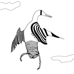 Schwan