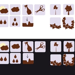 safari piktogramme
