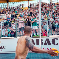 Fans