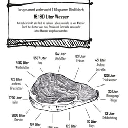 Vegan Infographic 04.