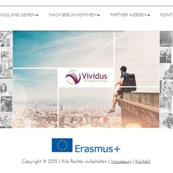 vividus-international