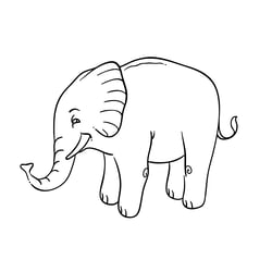 Elefant