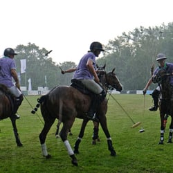 polo bs kl 15