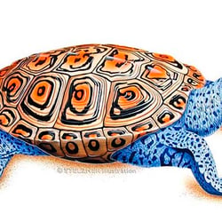 Schildkröte