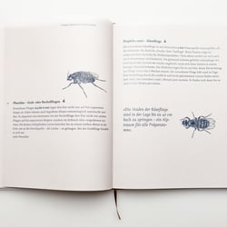 Insektenseite