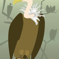 Geier warten