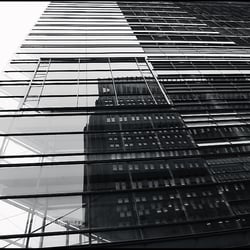 IMG 0729