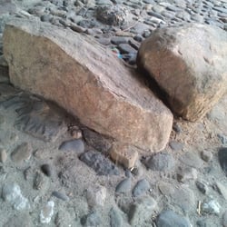 Nature´´2012